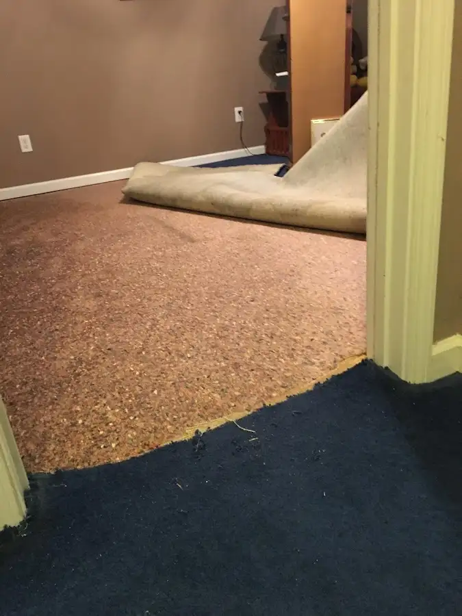 Carpet pad removal revealing water damage during Water Mitigation Services in Ballenger Creek